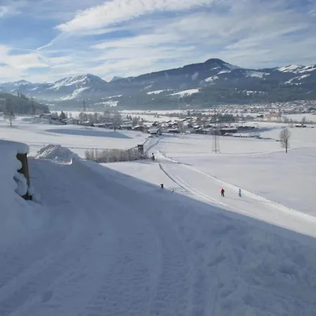 Appartement In Neustift Near Lift *