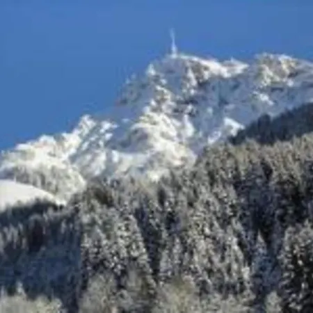 In Neustift Near Lift アパート ノイシュティフト・イム・シュトゥーバイタール