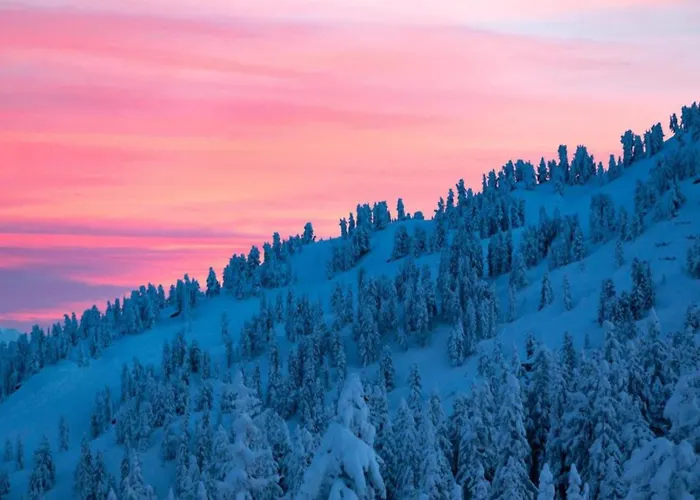 In Neustift Near Lift