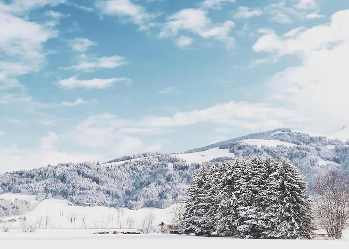 In Neustift Near Lift *