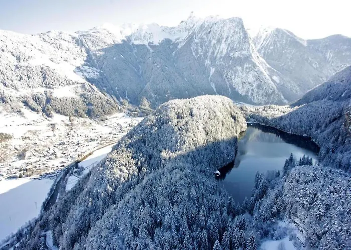 In Neustift Near Lift Appartement *